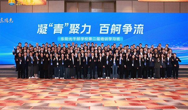 凝“青”聚力，百舸争流 | kaiyun干部学校2024年第二届培训学习班圆满结束